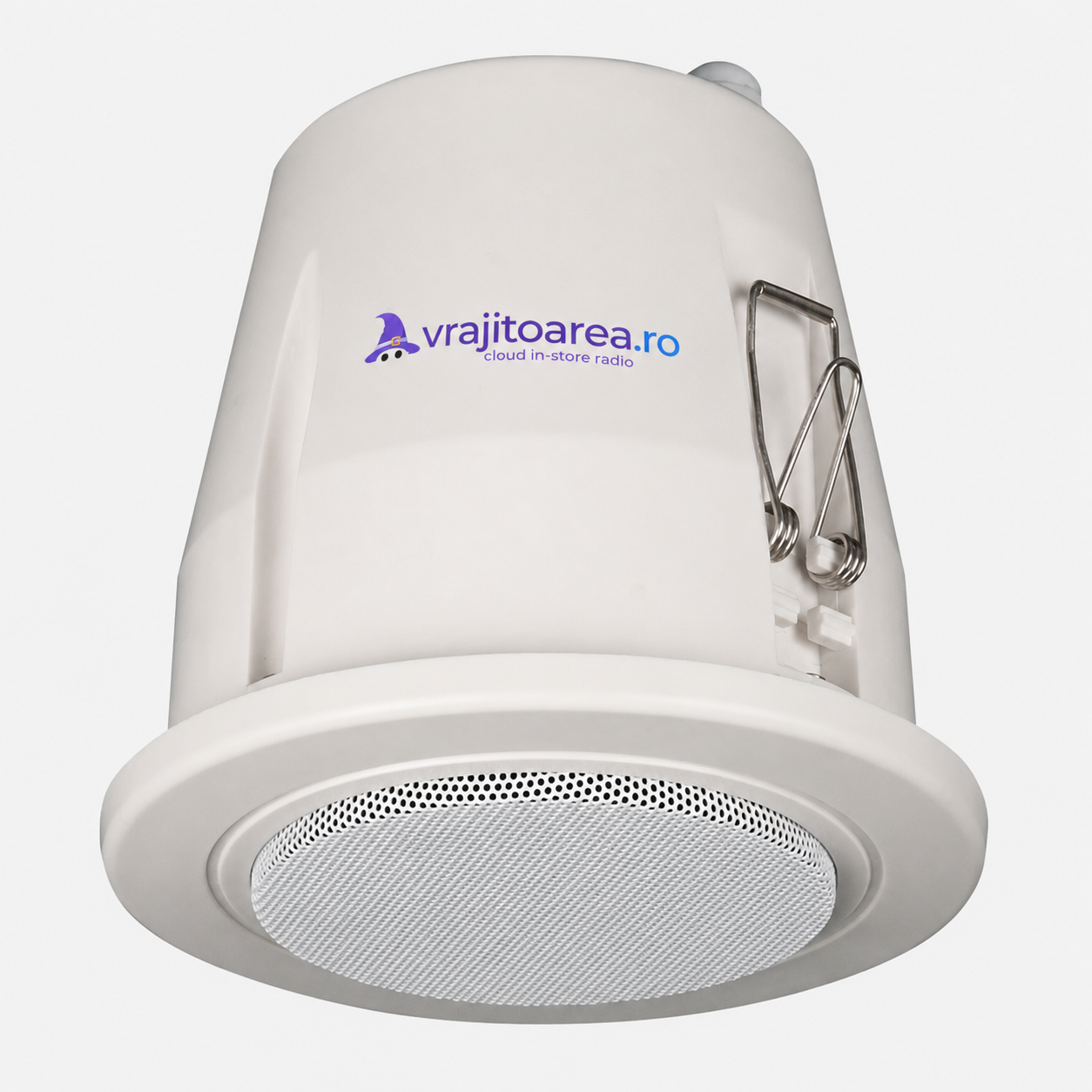 Speaker Outdoor IP55 100V